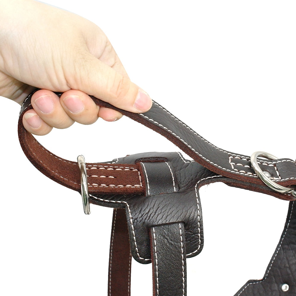 Arnés De Cuero Genuino Para Perro Mediano/Grande (25-32 Pulgadas De Pecho) - Ajustable, Color Marrón