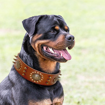 Cuero collar de perro fresco clavos tachonado perros de compañía collares ajustable para medio perros Pitbull K9 L XL