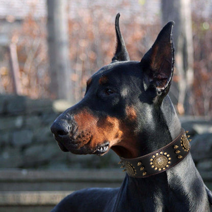 Cuero collar de perro fresco clavos tachonado perros de compañía collares ajustable para medio perros Pitbull K9 L XL