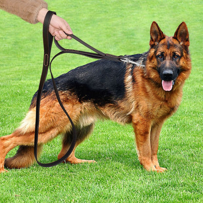 Correa de cuero genuino para mascotas. Correas de plomo para caminar para perros medianos y grandes. Control rápido con 2 asas