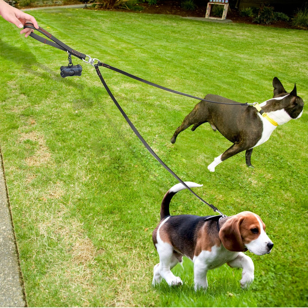 Correa de cuero para perros medianos y pequeños. Acoplador con asa para caminar y entrenar.