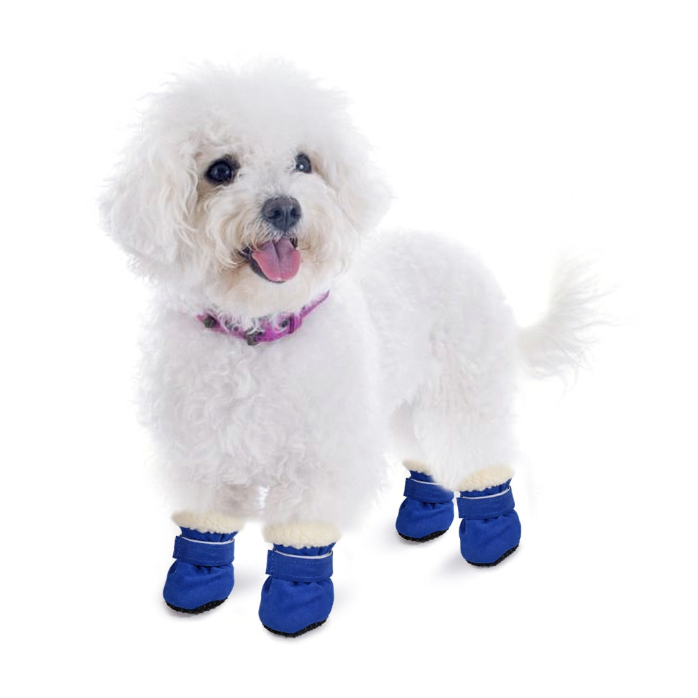 Zapatos impermeables para perro, botas de invierno antideslizantes para cachorro, gato, lluvia, nieve, Chihuahua.