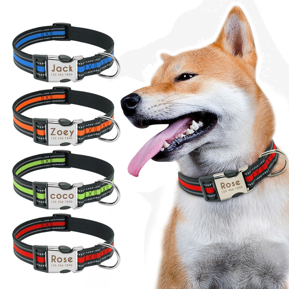 Collar para perro, personalizado con placa de etiqueta de identificación grabada