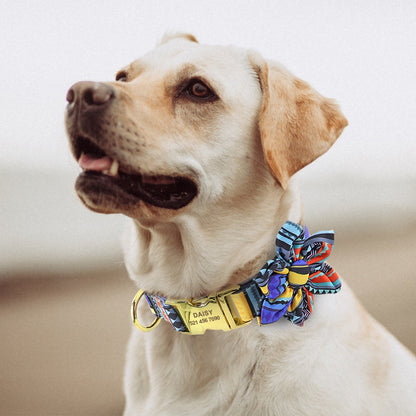 Collar de perro personalizado Nylon Nombre Telefono Chapa identificación Collar