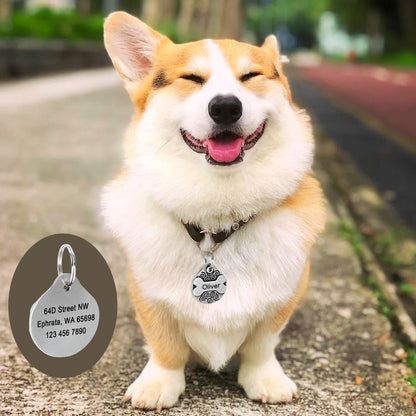 Etiqueta personalizada para perros.  Accesorios anti pérdida para mascotas.