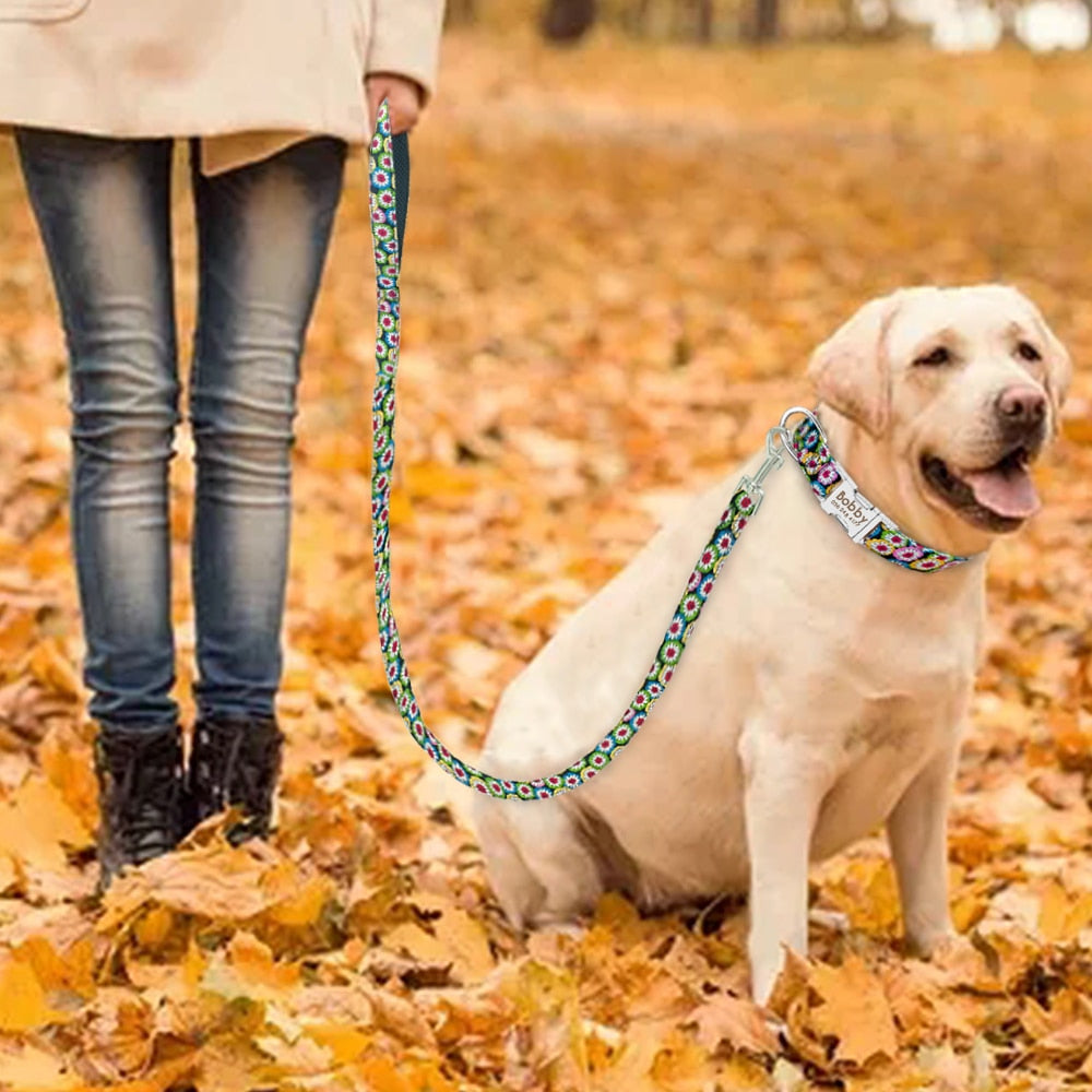 Correa con placa de identificación, ajustable, para perros medianos y grandes. Collar de nailon personalizado para perro.