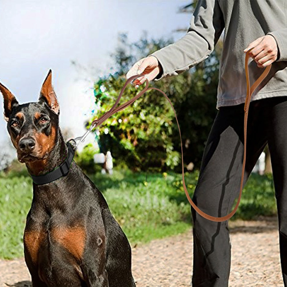 Correa de cuero genuino para mascotas. Correas de plomo para caminar para perros medianos y grandes. Control rápido con 2 asas