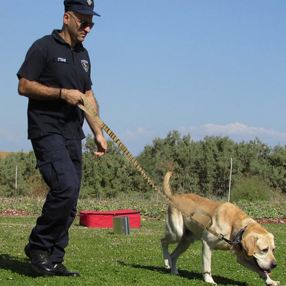 Correa táctica para perros medianos y grandes, nailon elástico, control rápido, Pastor Alemán