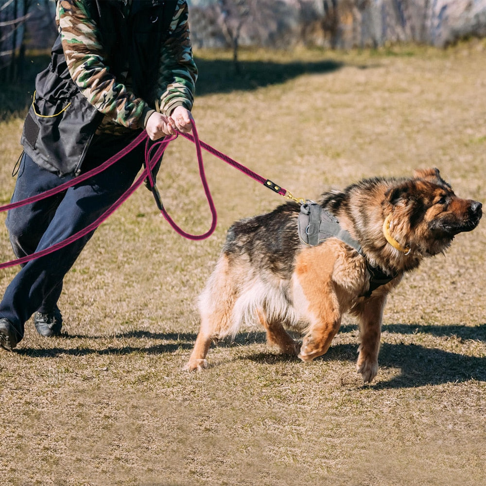 Correa larga de nailon antideslizante para perros medianos y grandes. Accesorio de entrenamiento para caminar, 2m, 3m, 5m