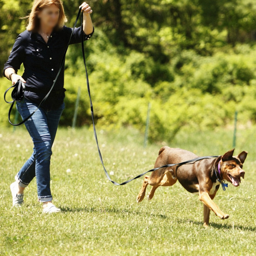 Correa larga de nailon antideslizante para perros medianos y grandes. Accesorio de entrenamiento para caminar, 2m, 3m, 5m