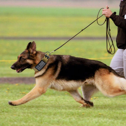 Collar militar ancho de nailon para perro. Collar táctico para perro, perro grande K9. - Mascotalux