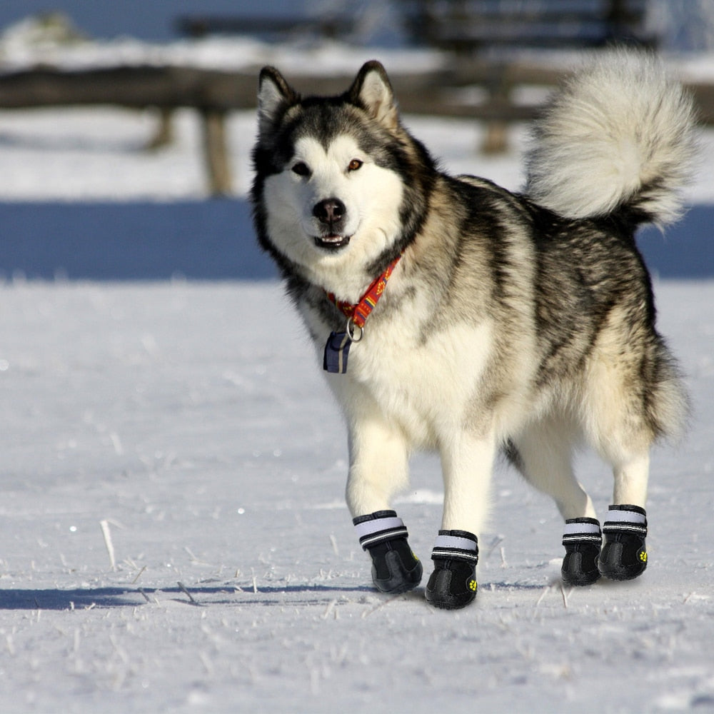 Zapatos reflectantes para perros, calzado impermeable, botines cálidos para nieve y lluvia.