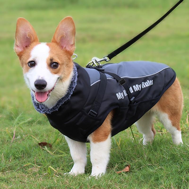 Ropa cálida de invierno para perro Labrador, chaqueta con arnés.