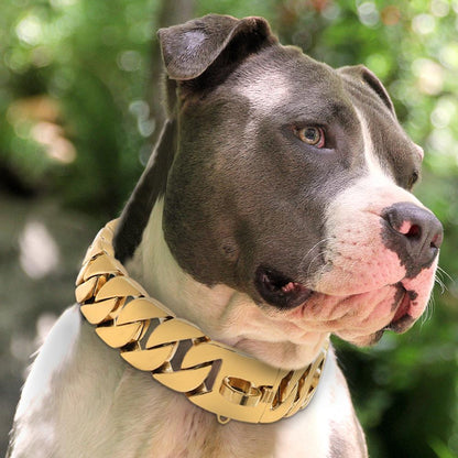 Collar de cadena de metal fuerte para perros de acero inoxidable para de mascotas.