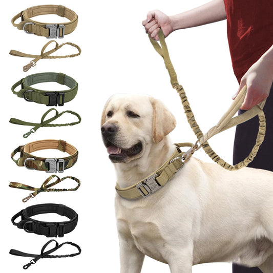 Perro fuerte táctico militar de la mascota.  Entrenamiento de mascotas collares de perros grandes Bulldog francés K9.
