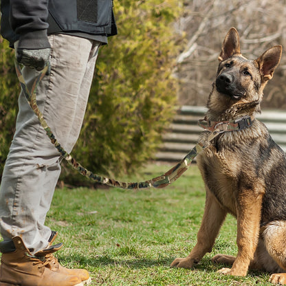 Perro fuerte táctico militar de la mascota.  Entrenamiento de mascotas collares de perros grandes Bulldog francés K9.