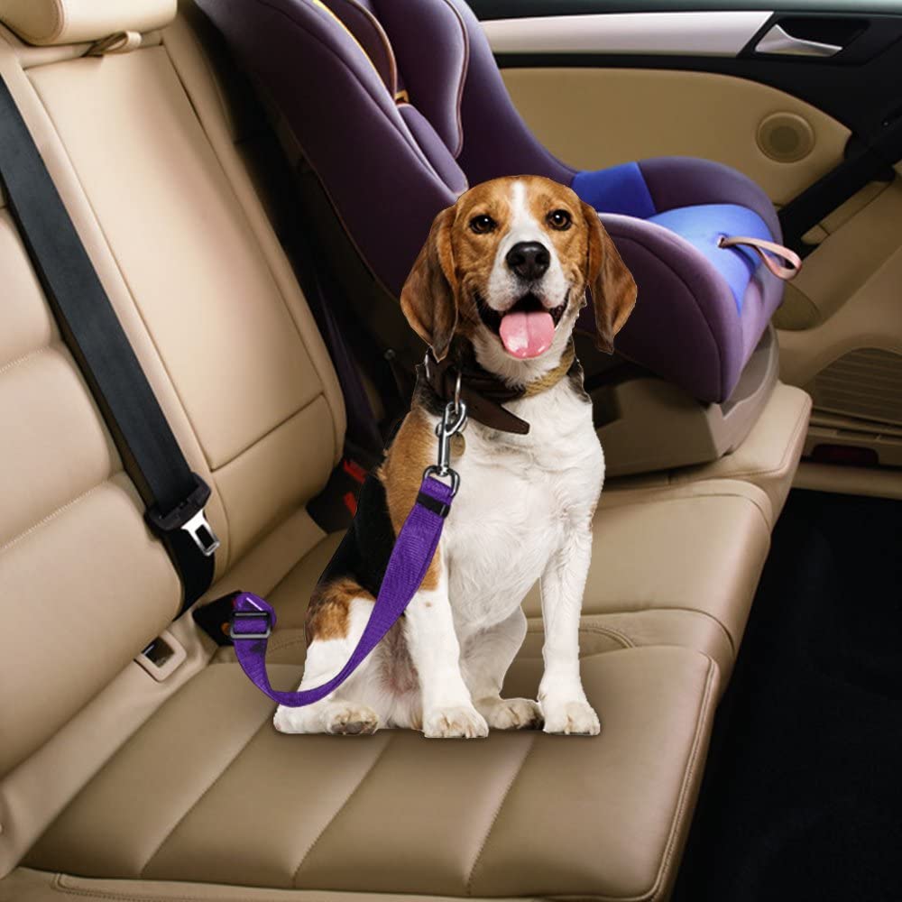 Cinturón de seguridad de coche ajustable para perros y gatos, arnés de cinturón de seguridad para vehículos y mascotas. - Mascotalux