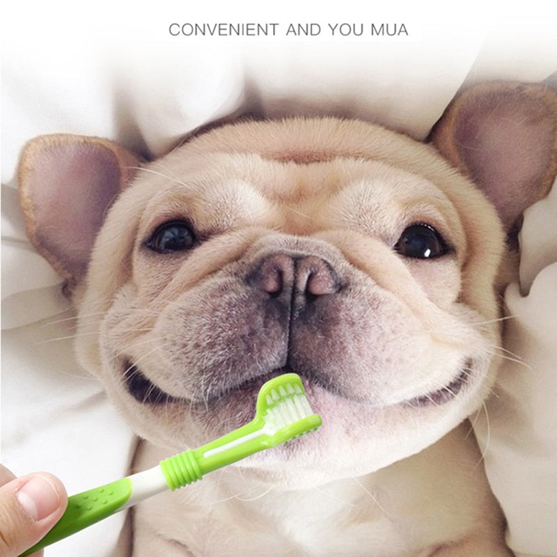 Kit de cepillo de dientes para mascotas, tres cabezales, cepillo de dientes para perros, cuidado de los dientes para perros y gatos