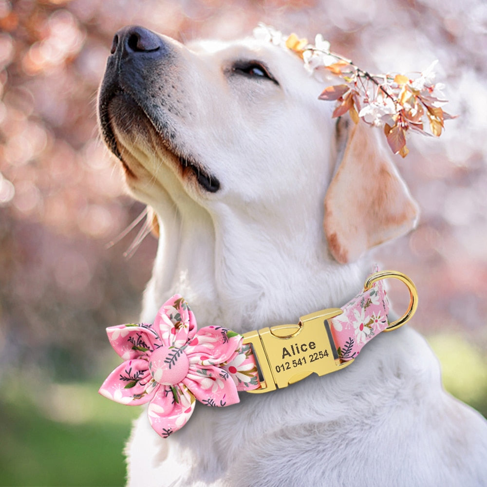 Collar de perro personalizado Nylon Nombre Telefono Chapa identificación Collar