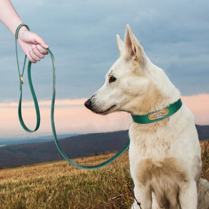 Collar personalizado de cuero para perros. Etiqueta de mascota. Collares suaves.