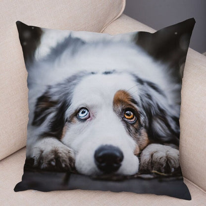 Funda de almohada con diseño de perro pastor australiano. Cubierta de cojín suave de felpa para decoración de sofá.