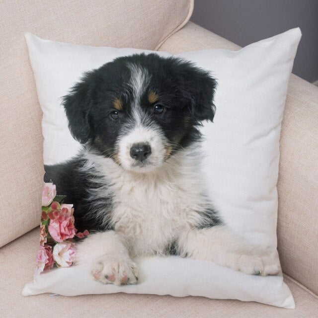 Funda de almohada con diseño de perro pastor australiano. Cubierta de cojín suave de felpa para decoración de sofá.