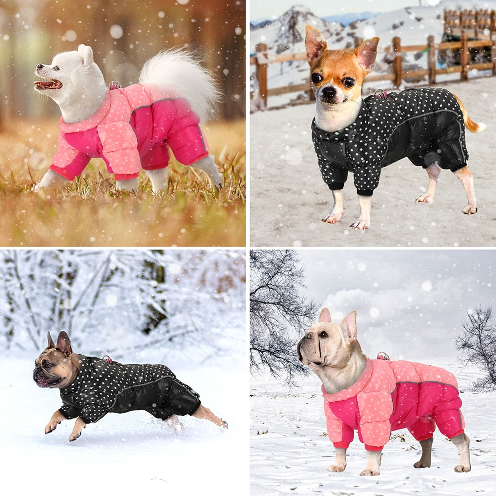 Caliente impermeable ropa de perro. Ropa de invierno para pequeño mediano grande perro.
