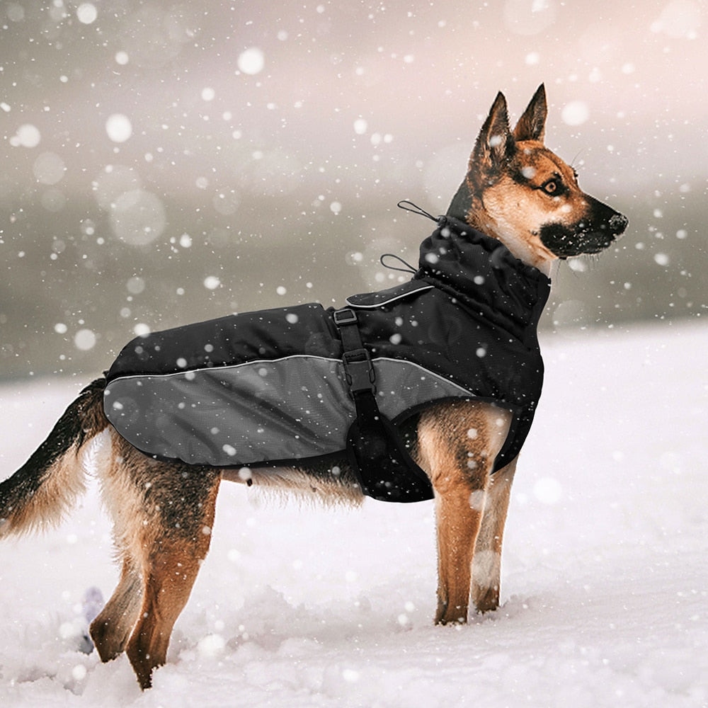 Ropa impermeable para perro grande chaqueta reflectante.
