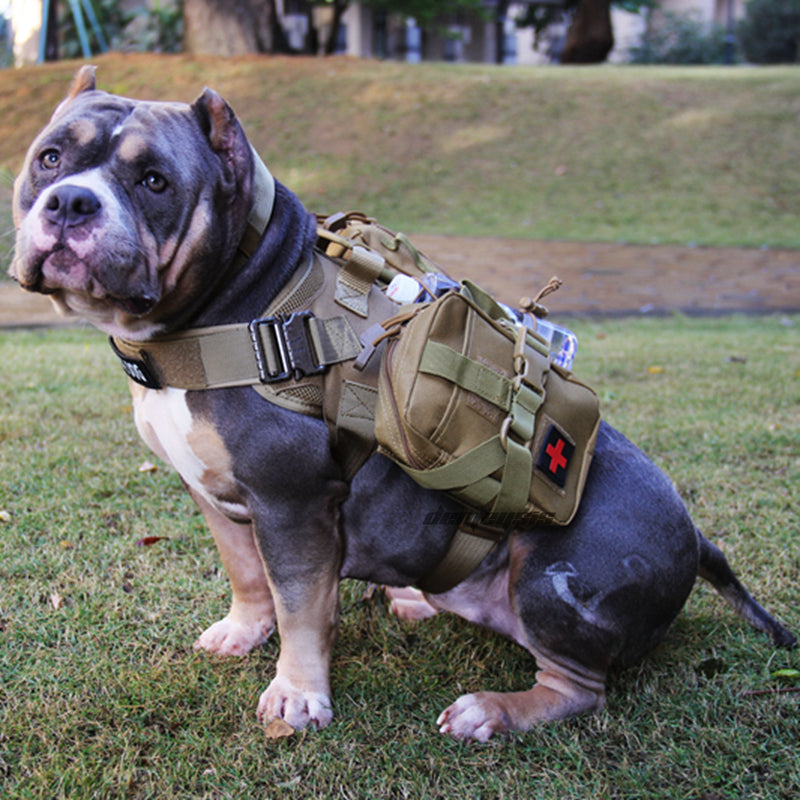 Chaleco táctico de nailon para perros, chaleco militar de caza y tiro para perros, chaleco Molle de entrenamiento Airsoft