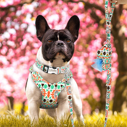Arnés de nailon personalizado para perro. Collares reflectantes para identificación.