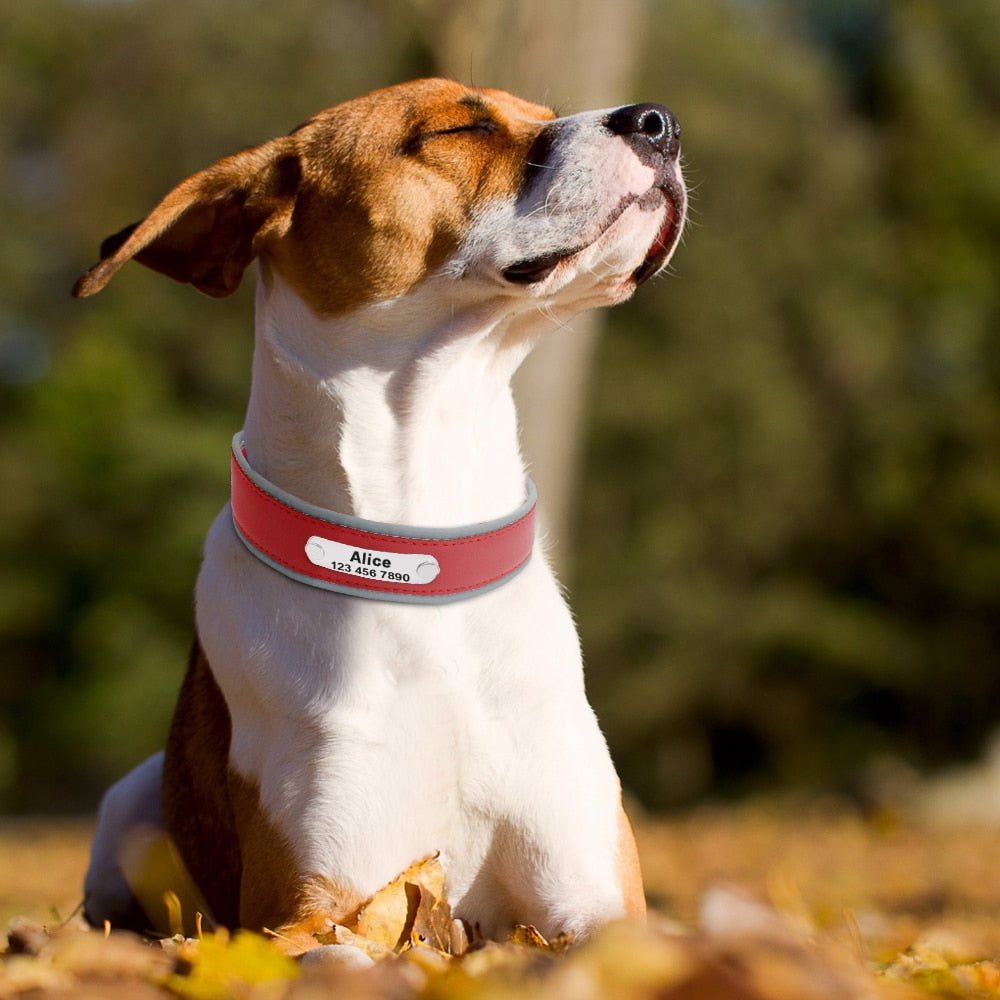 Collar de cuero personalizado para perro, correa ajustable para mascotas, caña para perros medianos y grandes, Pitbull, Bulldog, Bull Terrier