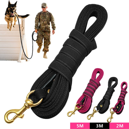 Correa larga de nailon antideslizante para perros medianos y grandes. Accesorio de entrenamiento para caminar, 2m, 3m, 5m